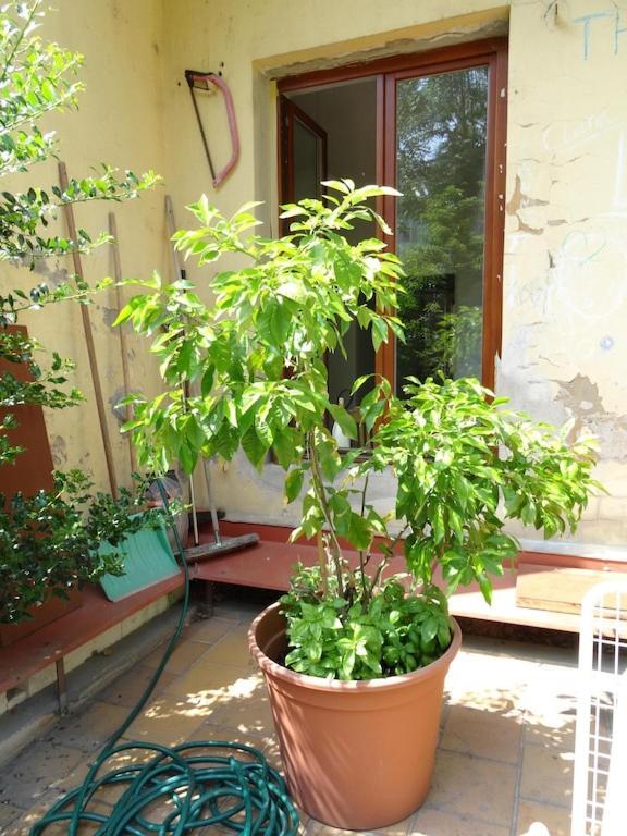Garden Apartment On Art Nouveau Street In Central Praha Bagian luar foto